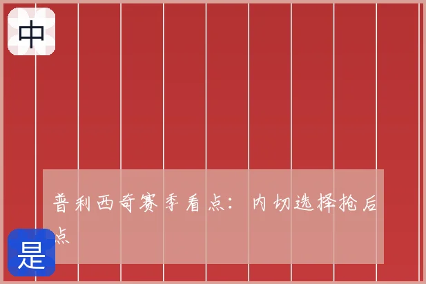 普利西奇赛季看点:内切选择抢后点